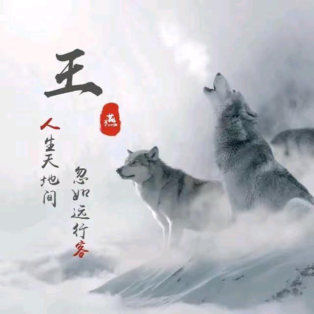 王氏家族