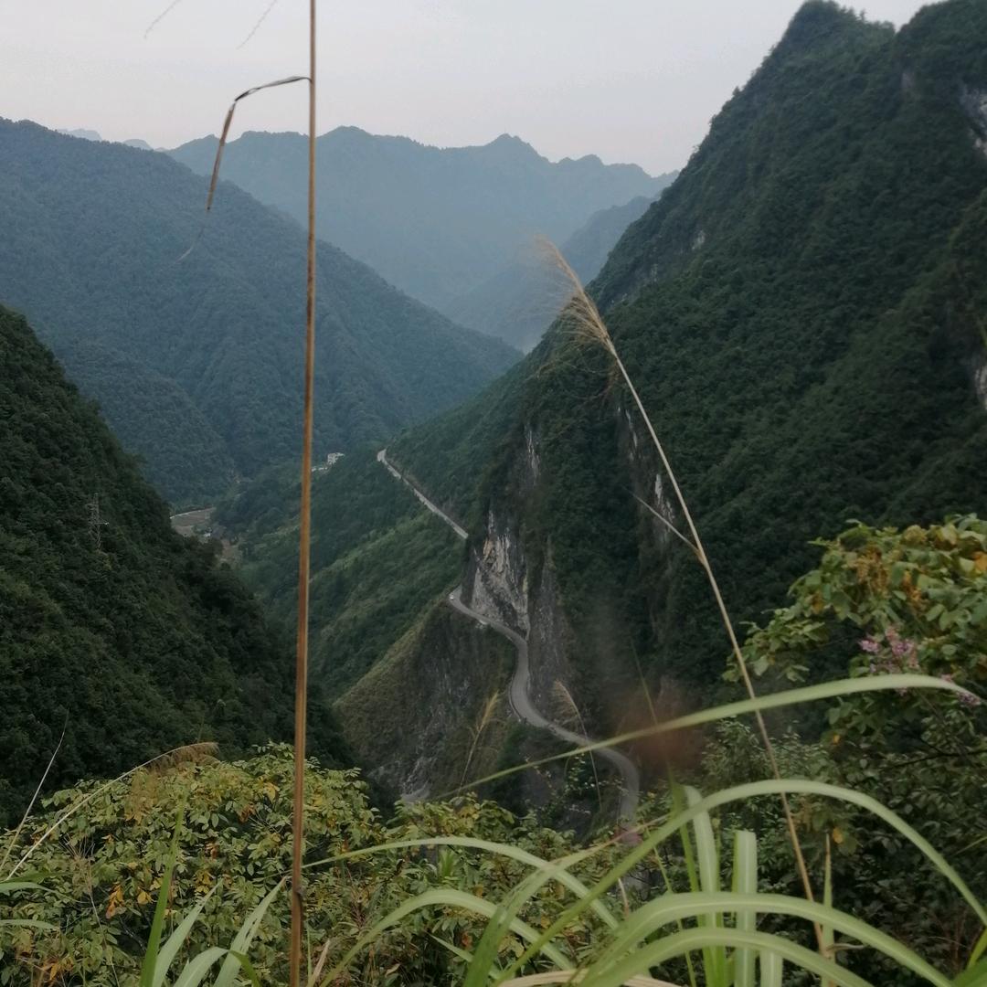 天涯