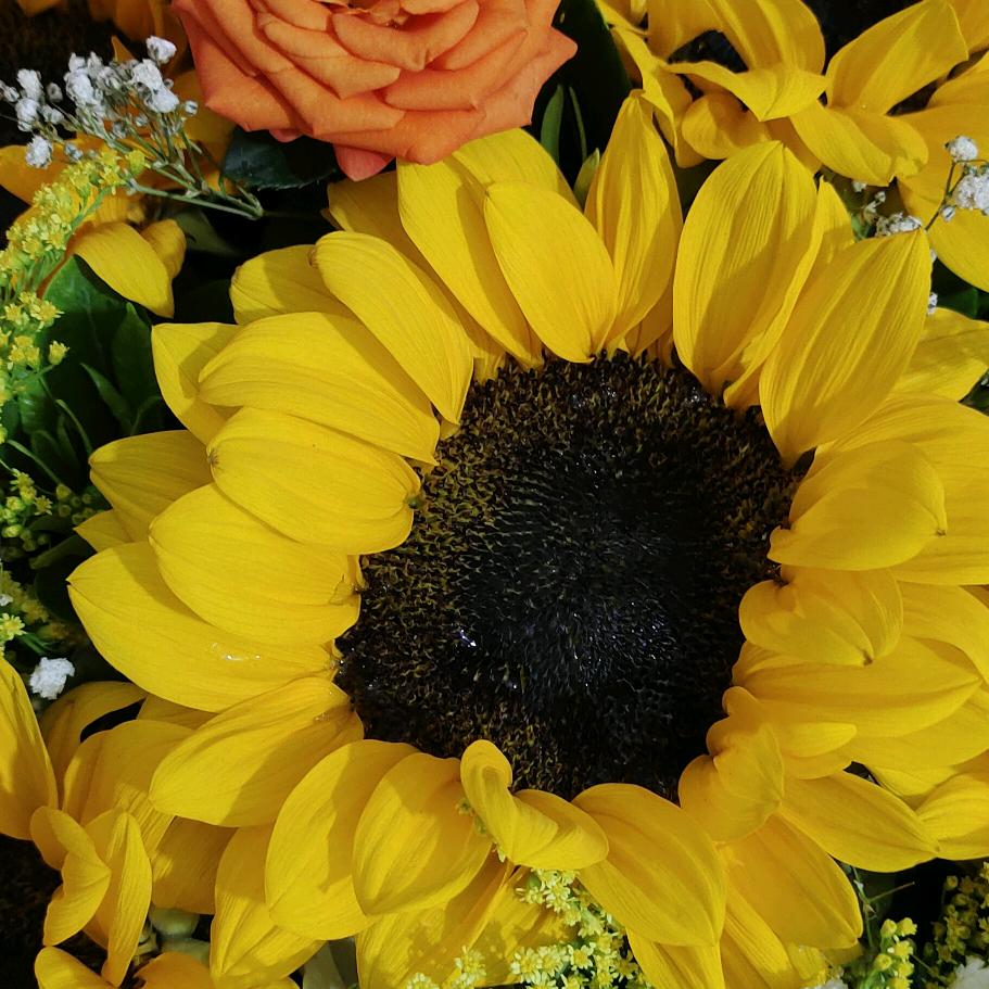 🐲🐲哥哥妹妹小幸福拒绝私聊🐲🐲