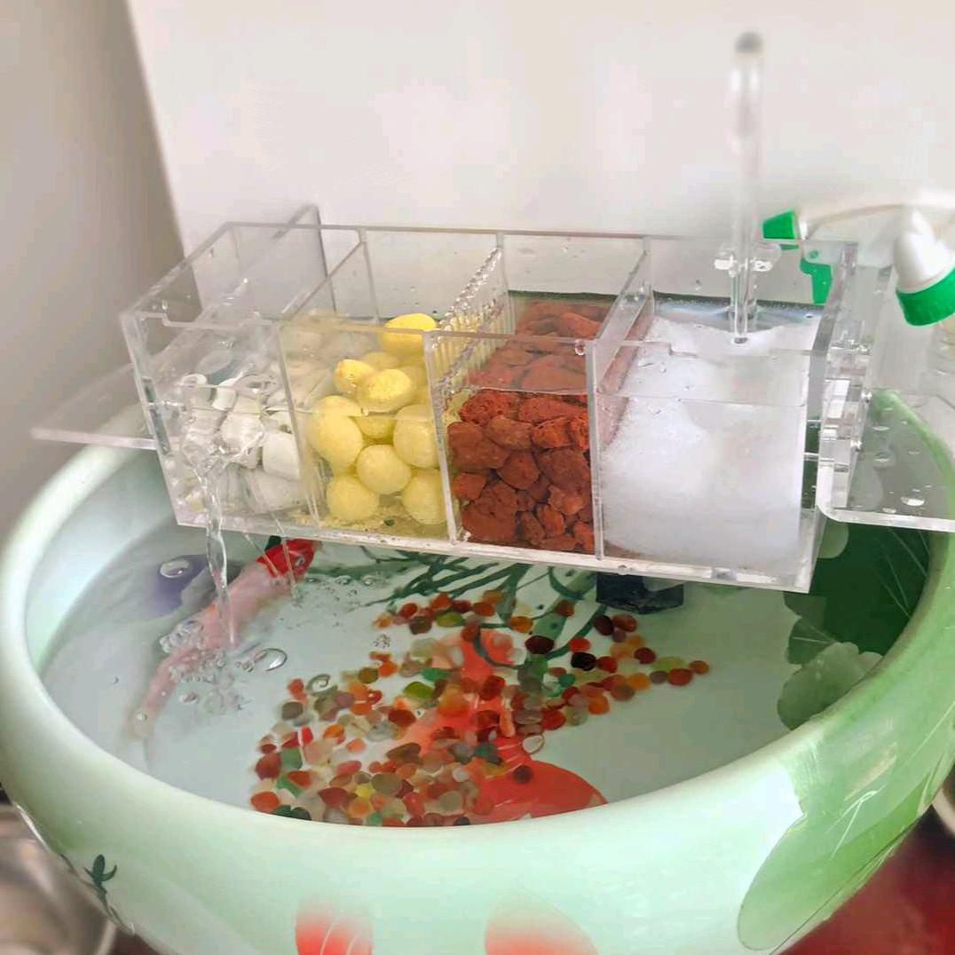 悦澈水族馆