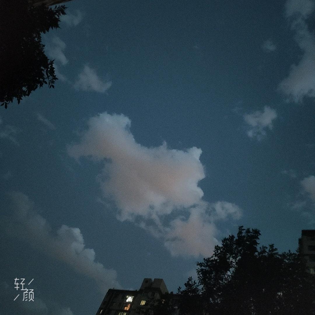 LY～林墨（米粒儿）