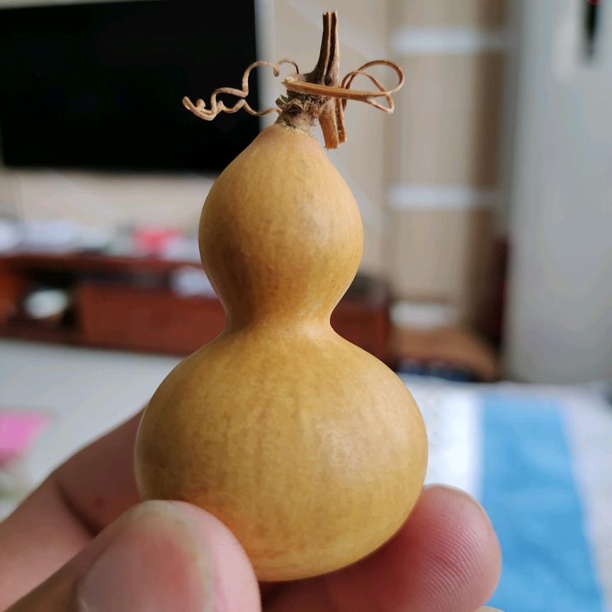 纳爱依旧