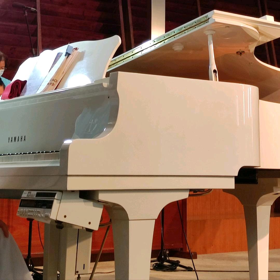 顺其自然（过好每一天）