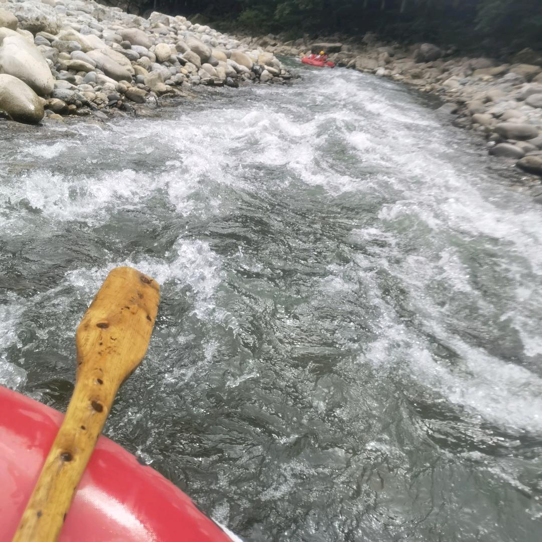 👈随波逐流✌