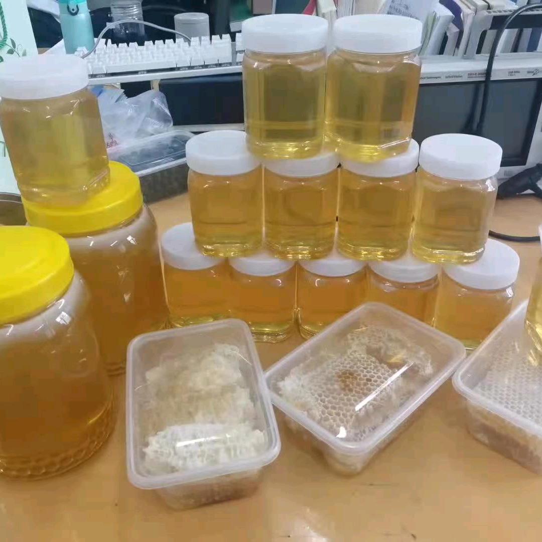 🌸春风吹🌸