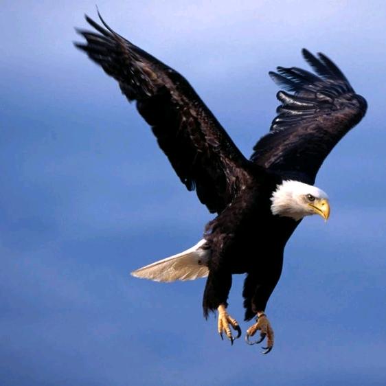 王和平（恩师：厂溪茅坪李高德）