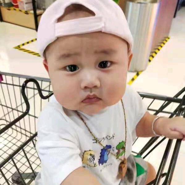 吉星高照福运来