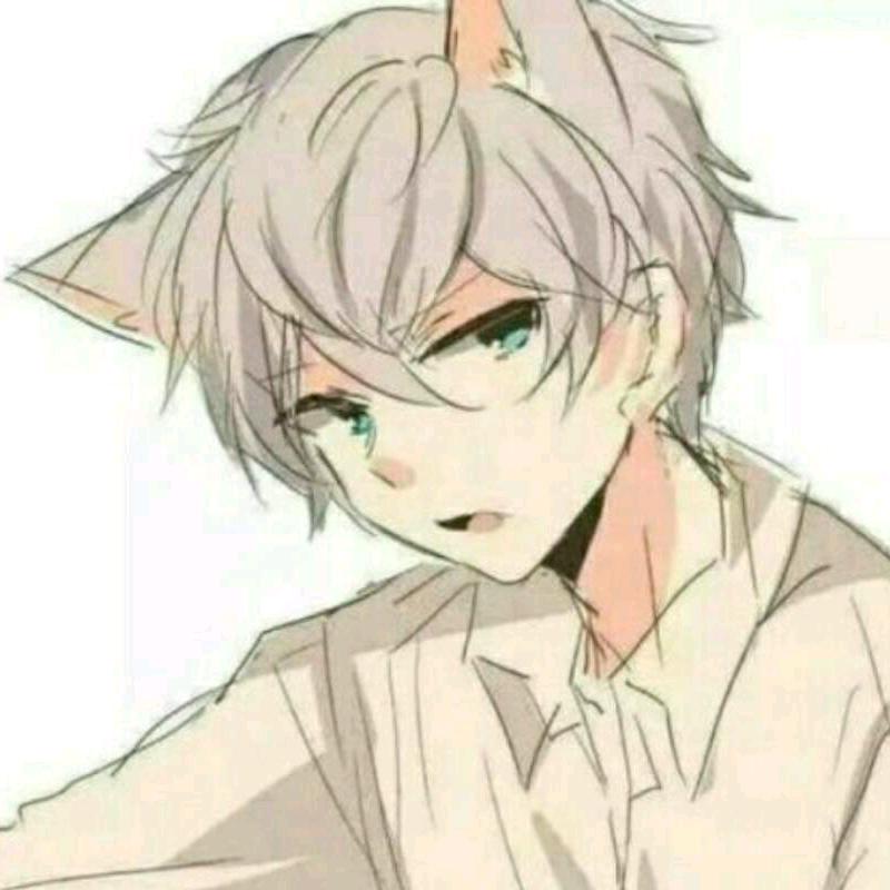 猫轩