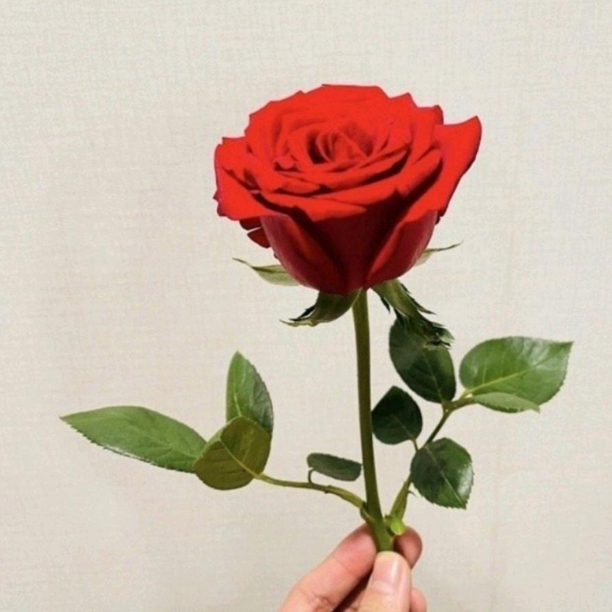 芳(｡･ω･｡)ﾉ♡