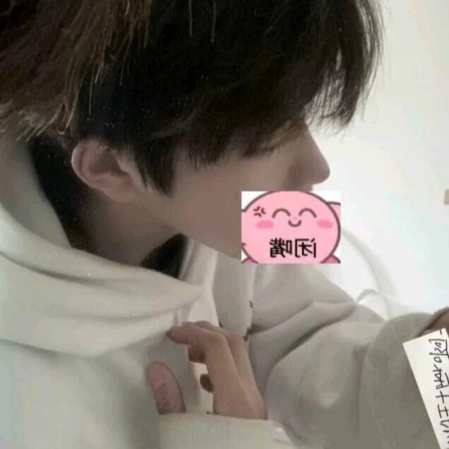 周月狼（动漫剪辑师）