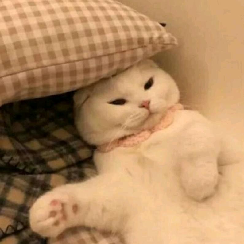 姐、一个没有气质的女人