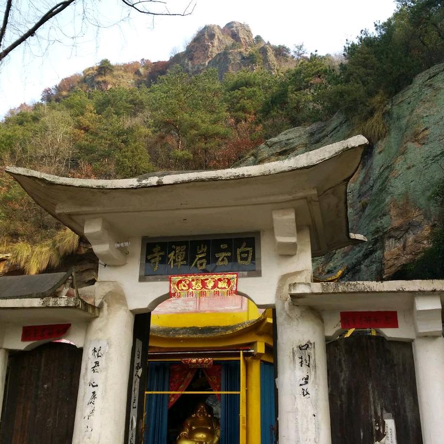 银哥的理想生活