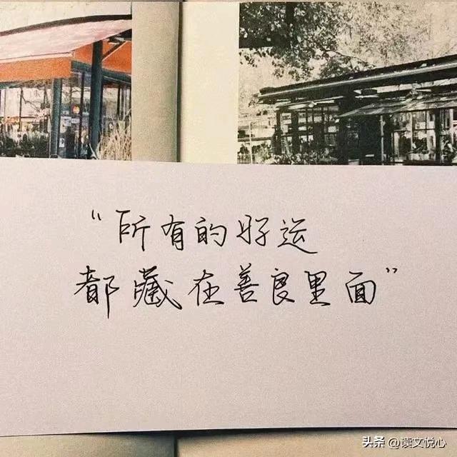 可爱的你