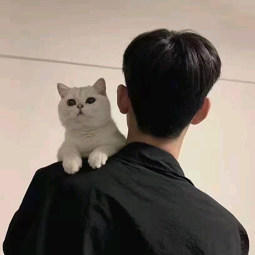 相见欢