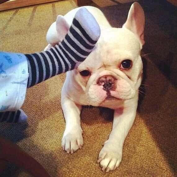 🌈 刚刚好☀️