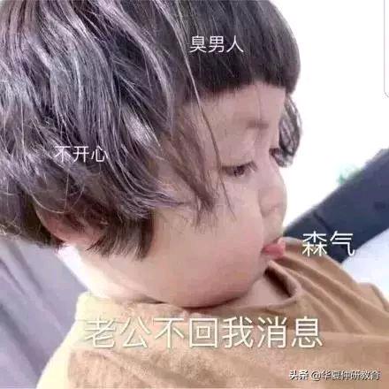 🎉莓有🍓烦恼🎉