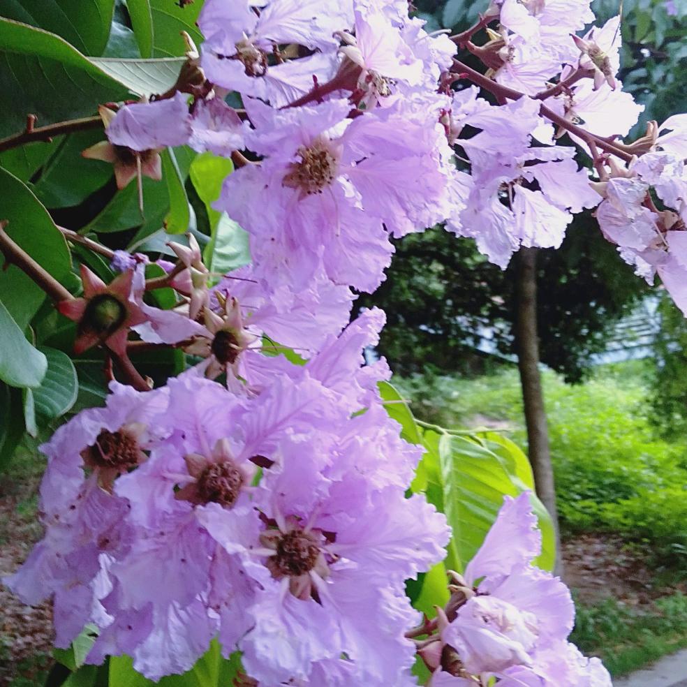 恰好