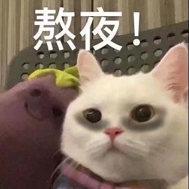 🌈熬夜波比