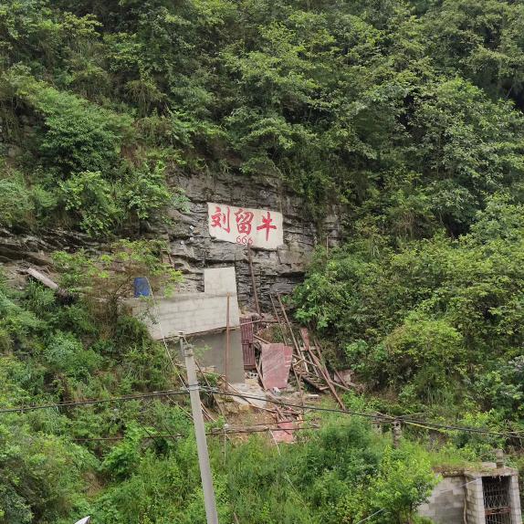 刘留牛666