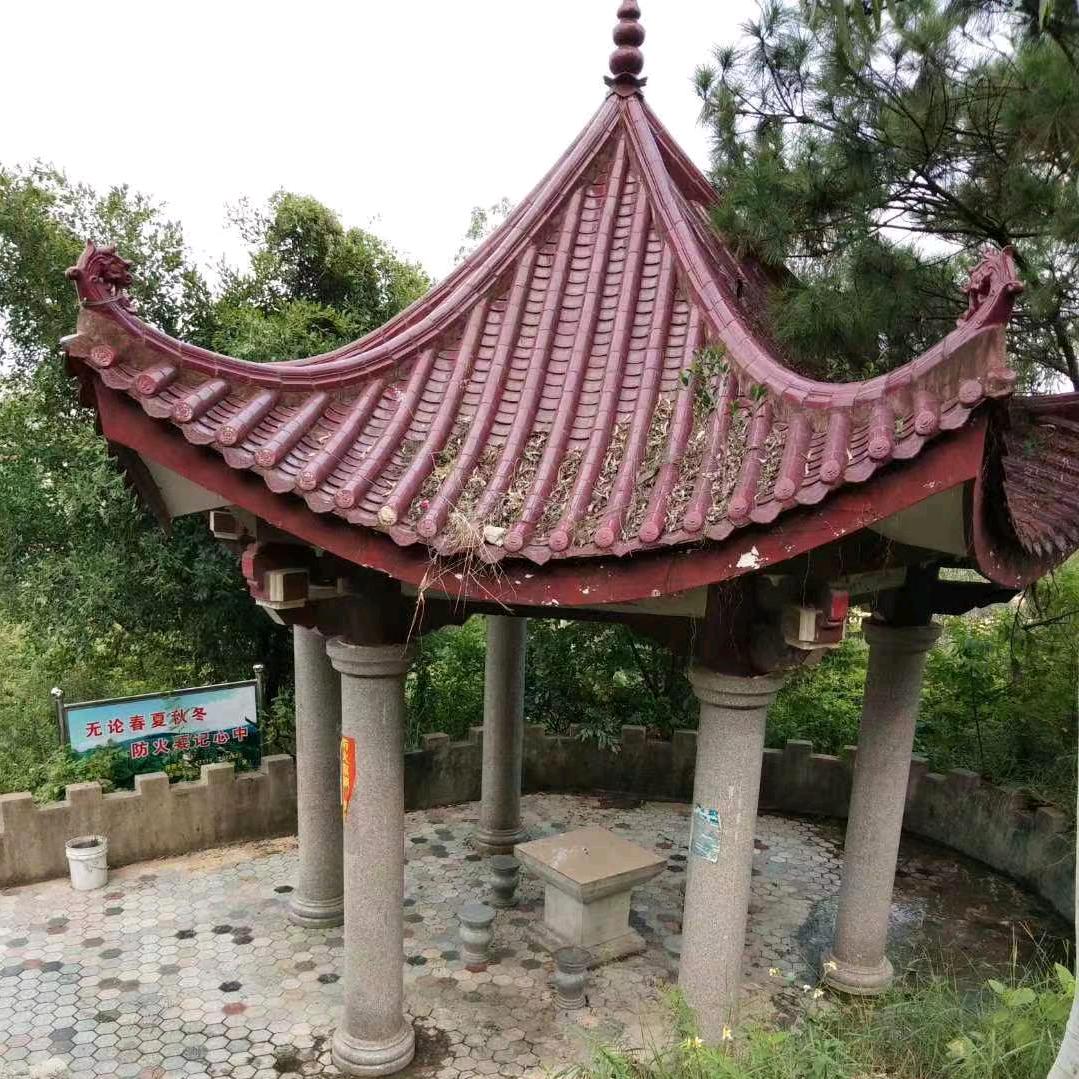 ℳ斷ঞ捨🍒離꧔ꦿ້໌ᮨ࿐