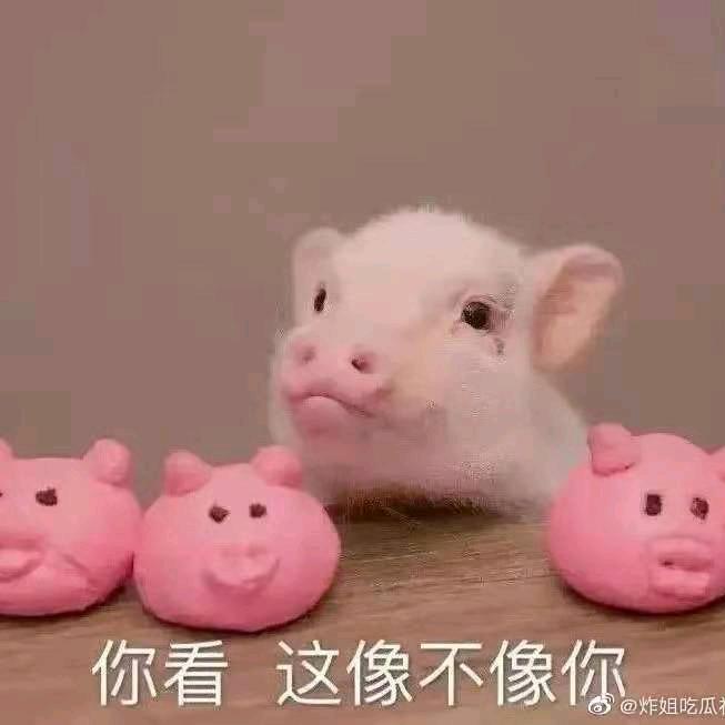 古城旧梦