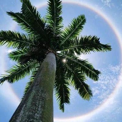 ʕ ᵔᴥᵔ ʔ 💯