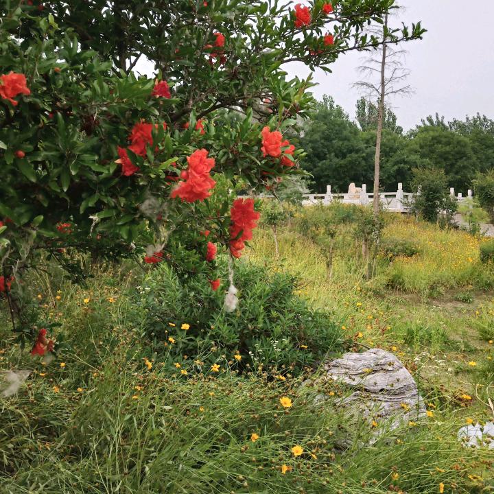 谁没有年轻་过