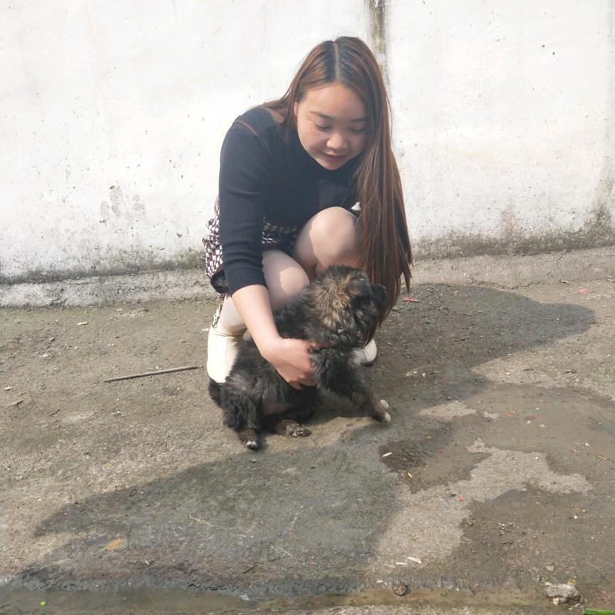 独立小女人