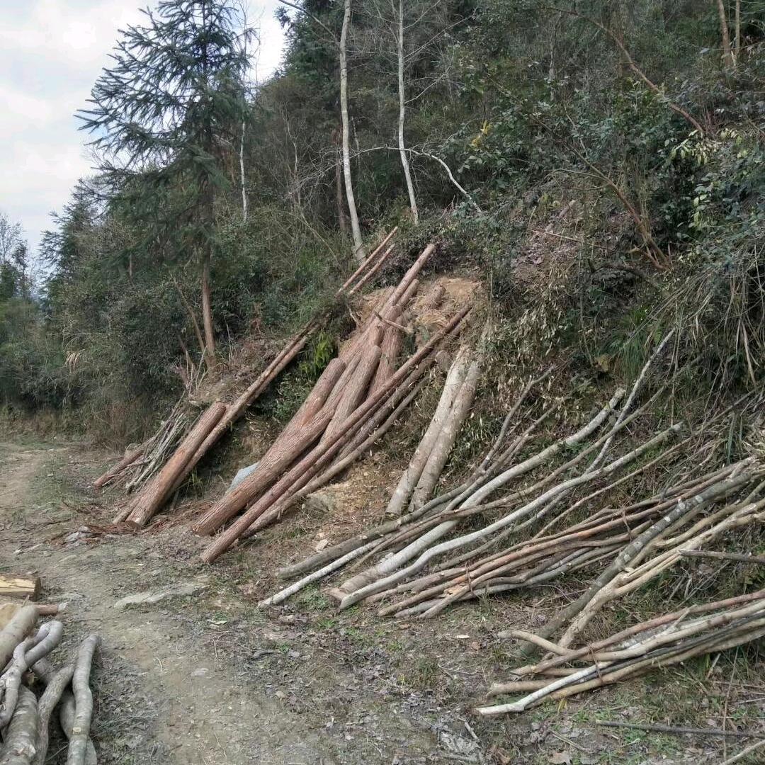 时光不等人