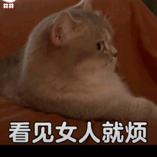 曜玩家