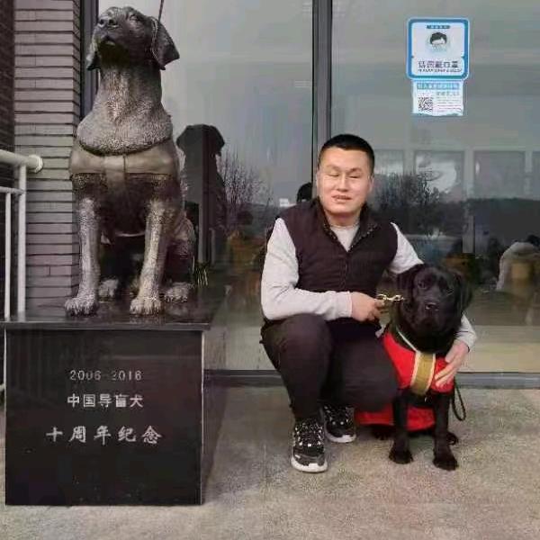 导盲犬火花