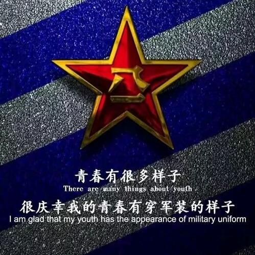 玩枪的鳞斑响尾