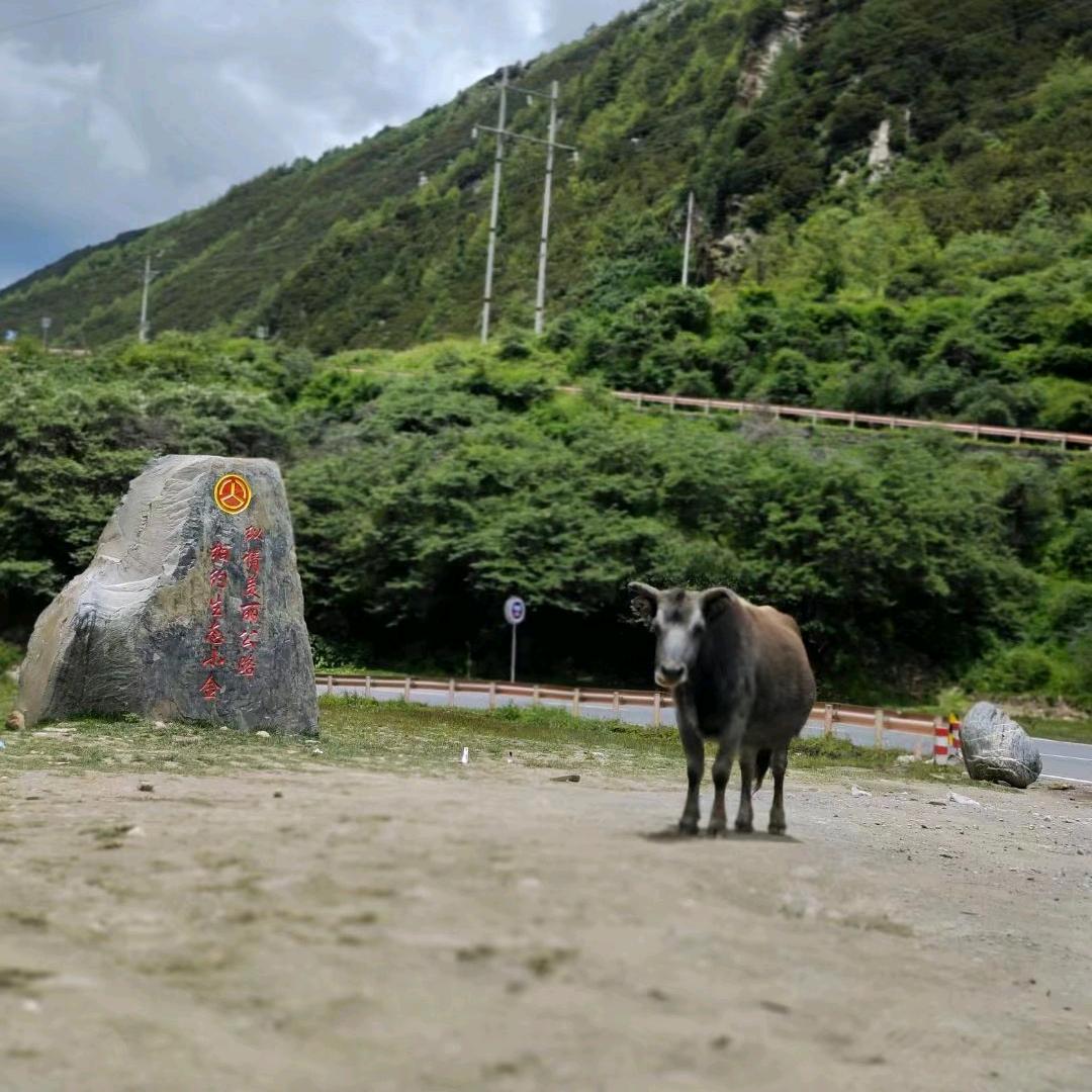 十八子