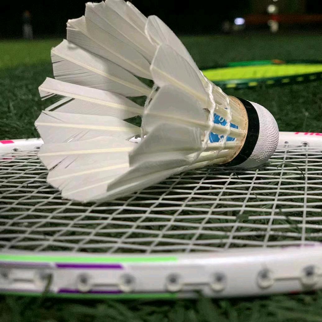 石家庄科技信息职业学院羽协🏸
