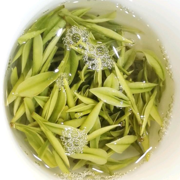 汉合唐安吉白茶