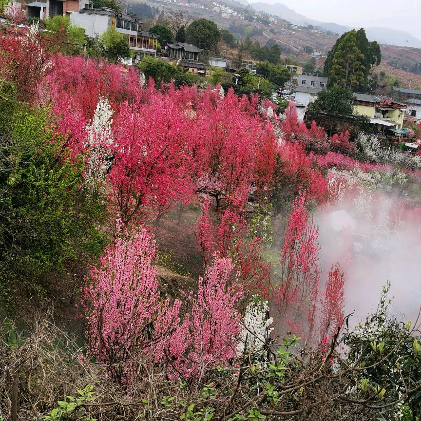 青山
