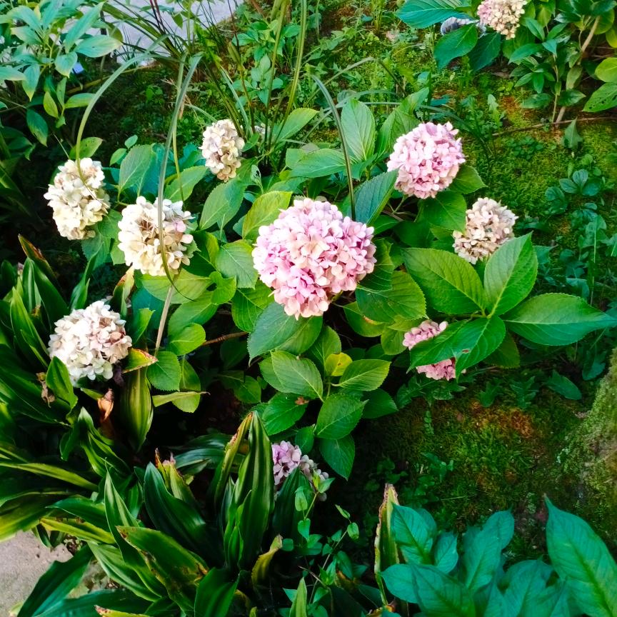 🥀এ᭄握不住ꦿ的💔沙ོ࿐ᩚ