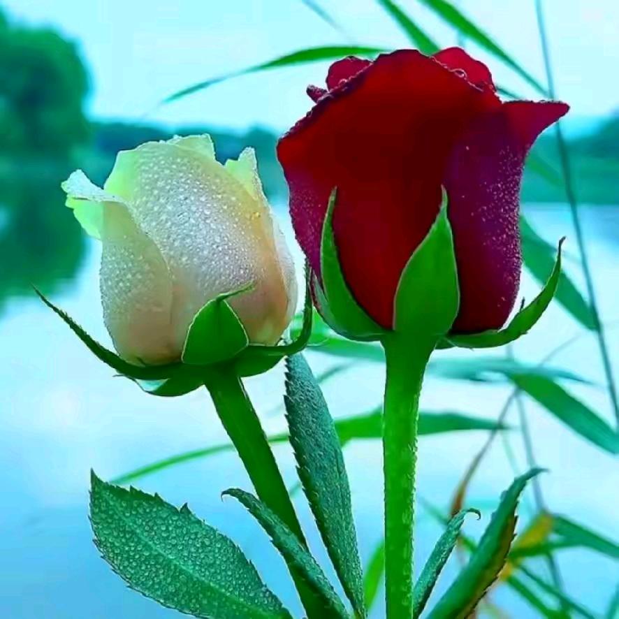 开心过好每一天！