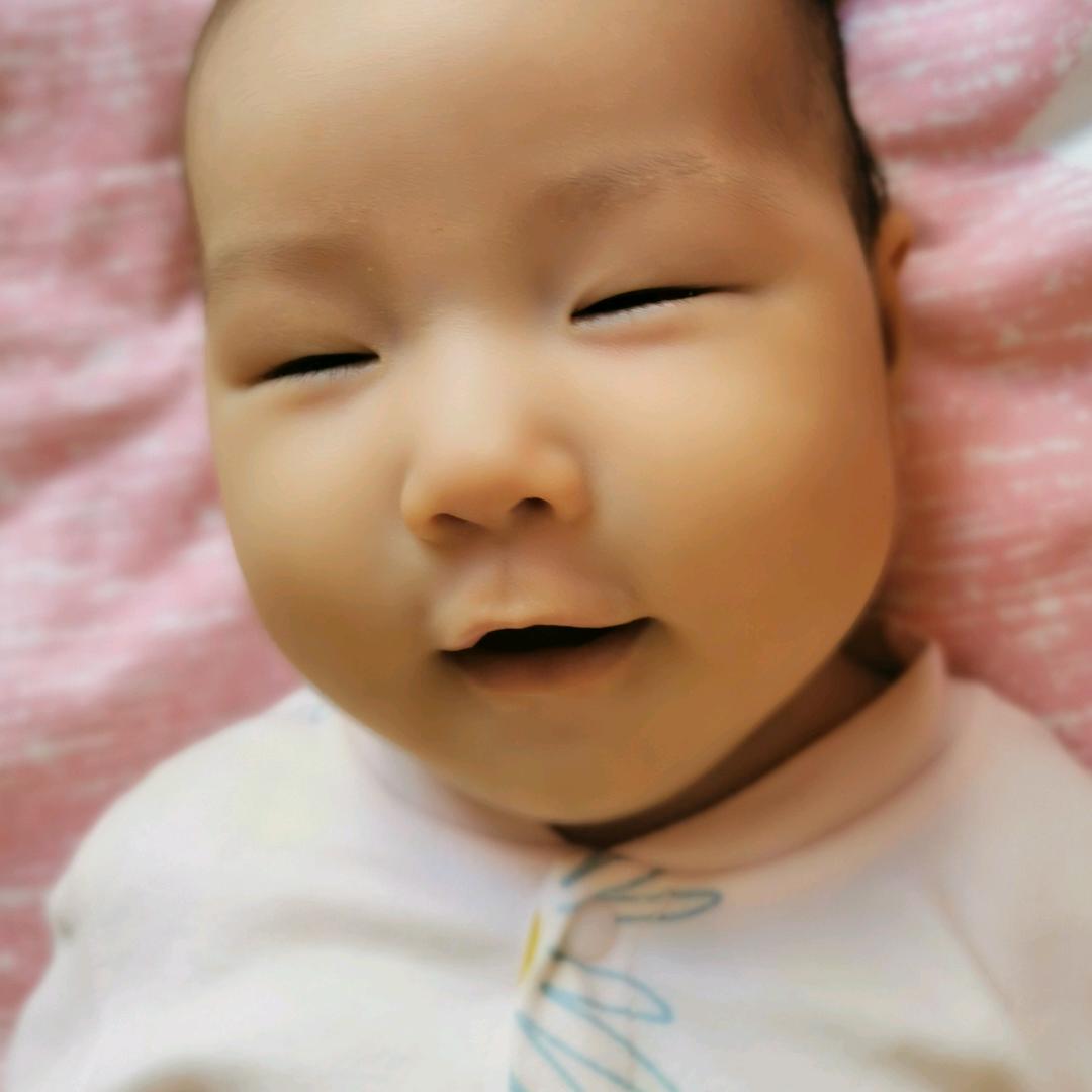 （金逗）逗的小号