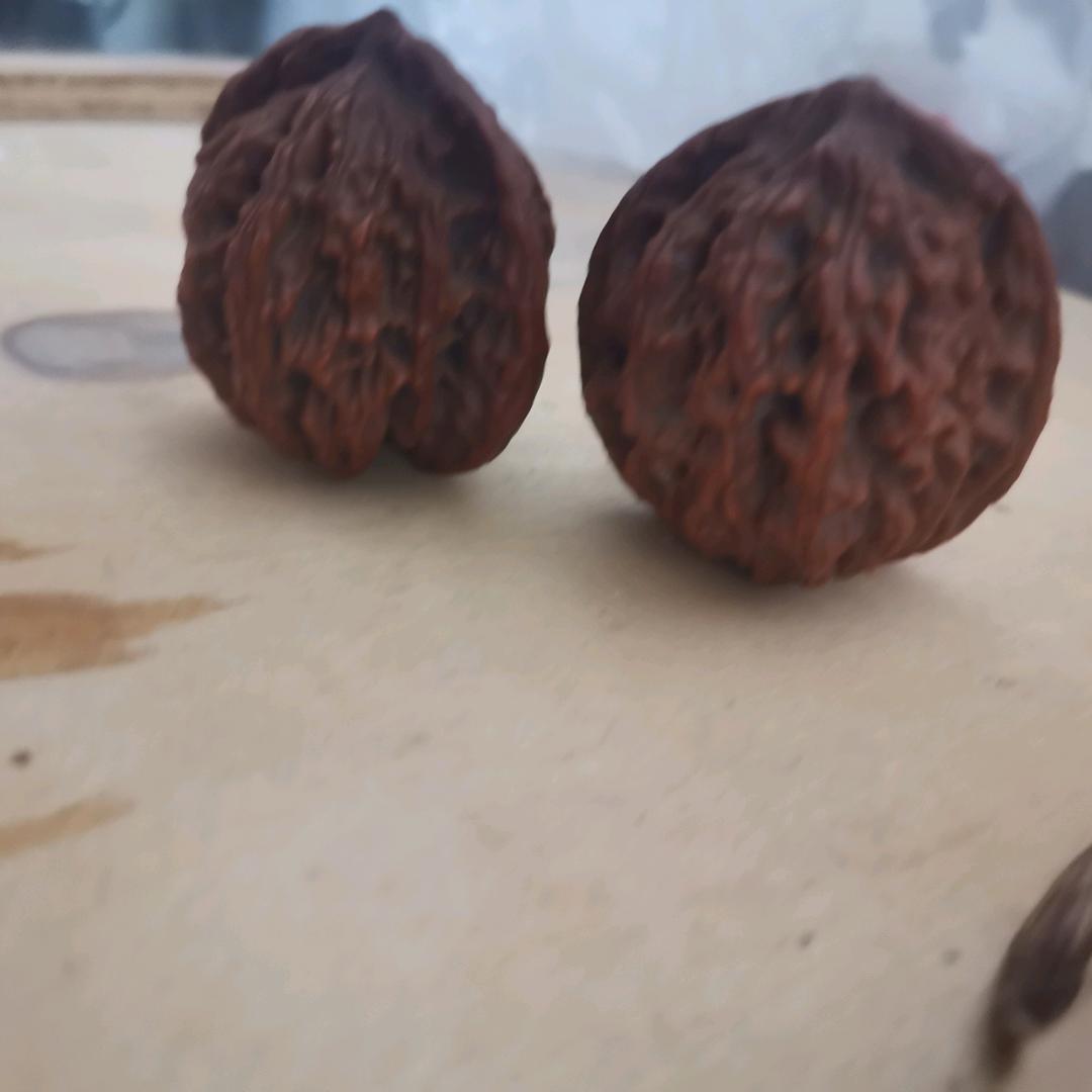 陕西人在上海