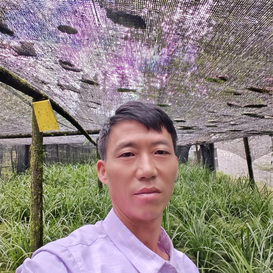 滇西兰花种植基地