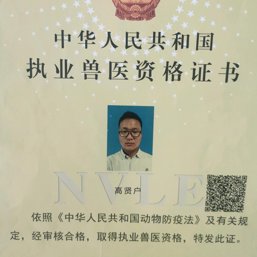 洗狗哥