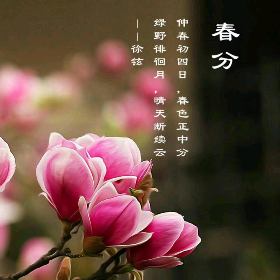 芳