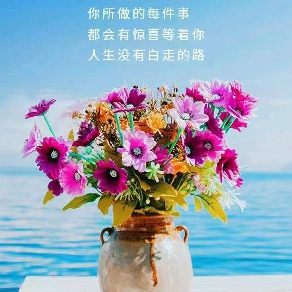Aa 思蜜达《💓》