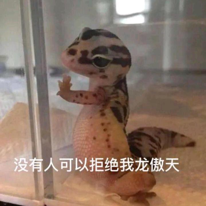 寡妇床底少年郎