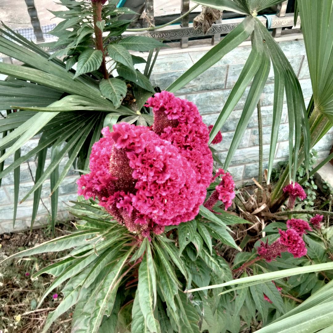平安一生。