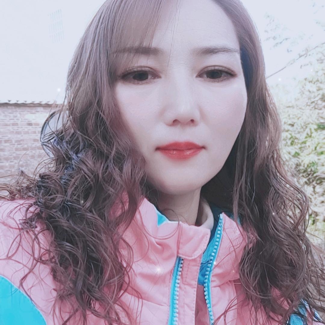 寻找一个家