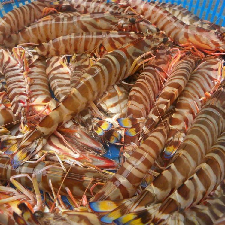 西安盈福鑫商贸有限公司