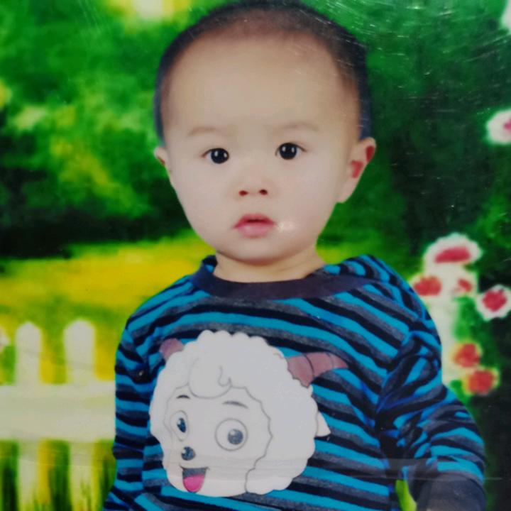 丽
