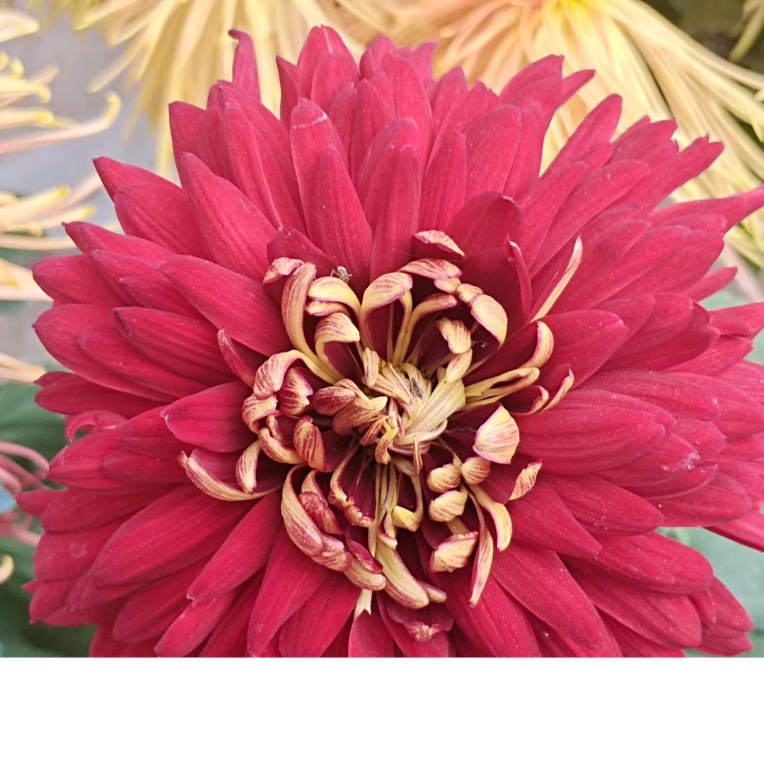 善待别人，就是善待自己